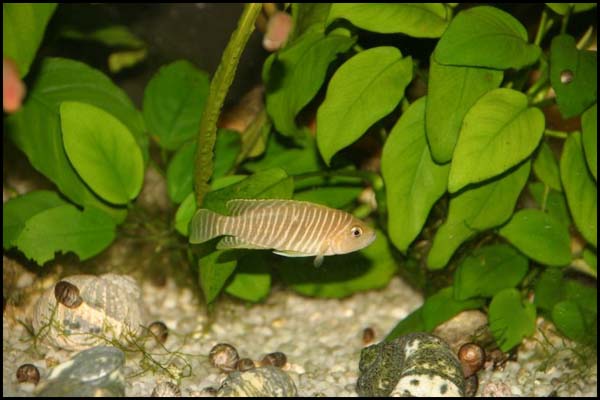 www.israquarium.co.il